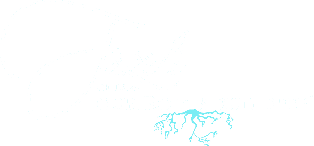 Fazeli Cellars Logo